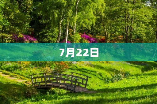 7月22日