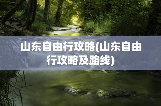 山东自由行攻略(山东自由行攻略及路线)
