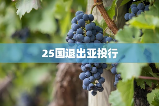 25国退出亚投行