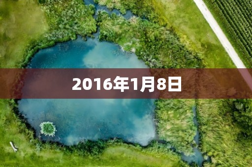 2016年1月8日