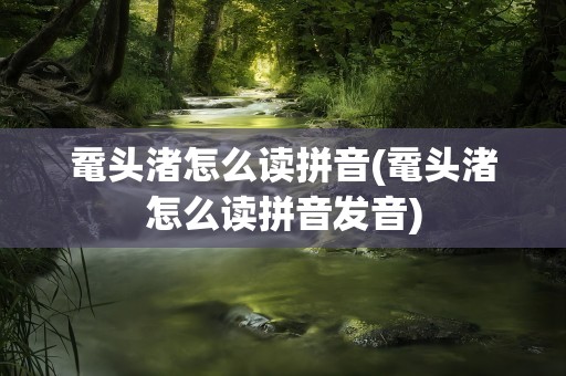 鼋头渚怎么读拼音(鼋头渚怎么读拼音发音)