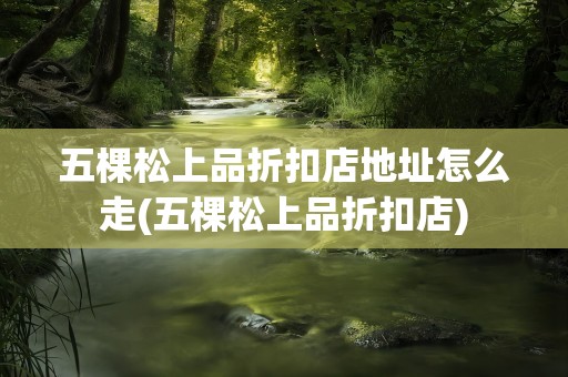 五棵松上品折扣店地址怎么走(五棵松上品折扣店)