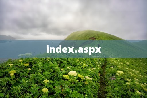 index.aspx