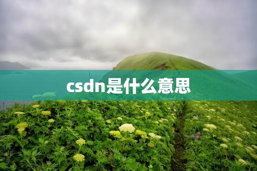 csdn是什么意思