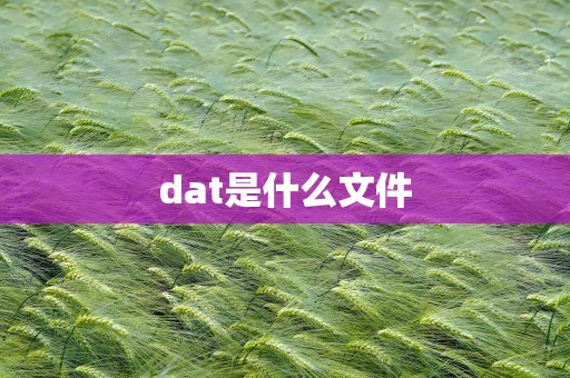 dat是什么文件