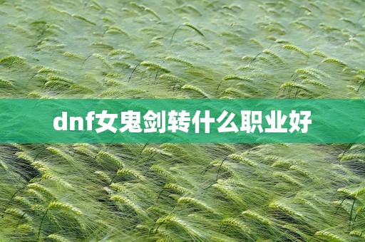 dnf女鬼剑转什么职业好
