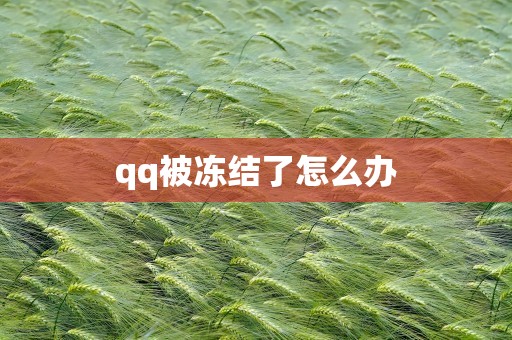 qq被冻结了怎么办