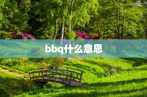 bbq什么意思