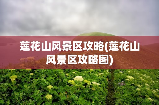 莲花山风景区攻略(莲花山风景区攻略图)