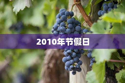 2010年节假日