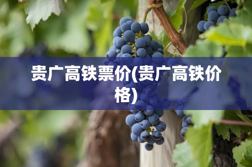贵广高铁票价(贵广高铁价格)
