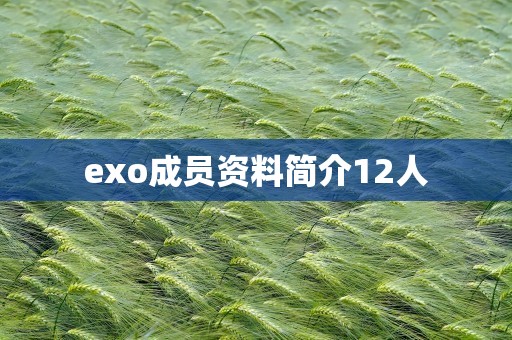 exo成员资料简介12人