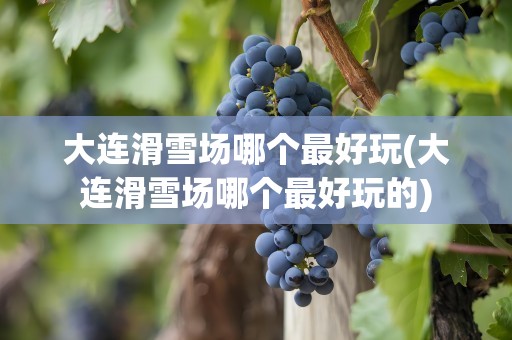 大连滑雪场哪个最好玩(大连滑雪场哪个最好玩的)