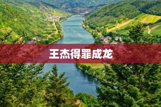 王杰得罪成龙