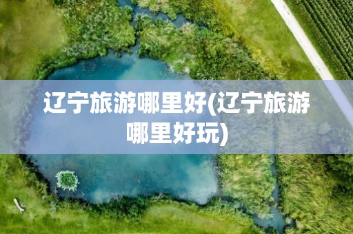 辽宁旅游哪里好(辽宁旅游哪里好玩)
