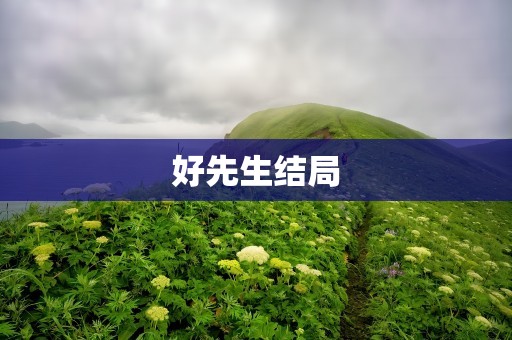 好先生结局