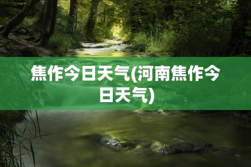 焦作今日天气(河南焦作今日天气)