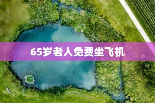 65岁老人免费坐飞机