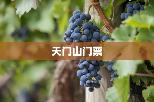 天门山门票