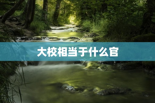 大校相当于什么官