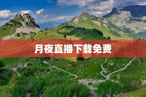 月夜直播下载免费