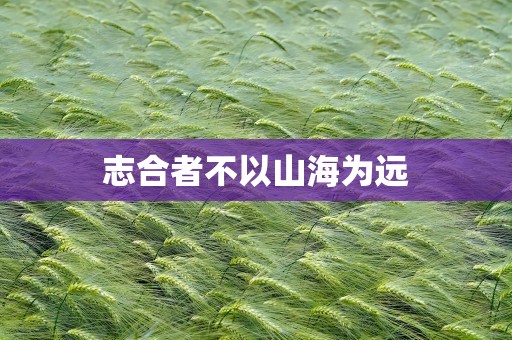 志合者不以山海为远