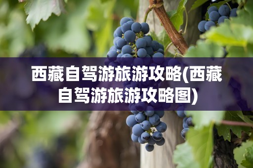 西藏自驾游旅游攻略(西藏自驾游旅游攻略图)