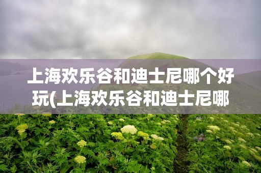 上海欢乐谷和迪士尼哪个好玩(上海欢乐谷和迪士尼哪个好玩点)