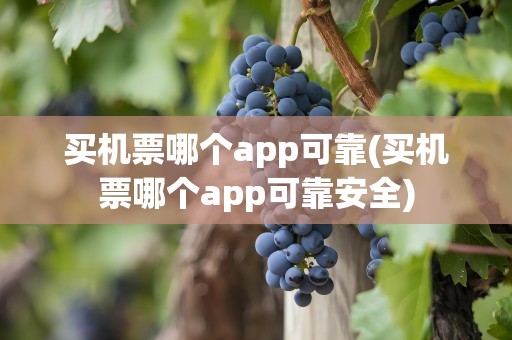 买机票哪个app可靠(买机票哪个app可靠安全)