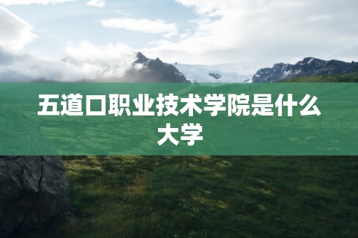 五道口职业技术学院是什么大学