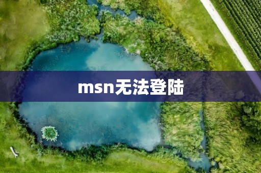 msn无法登陆