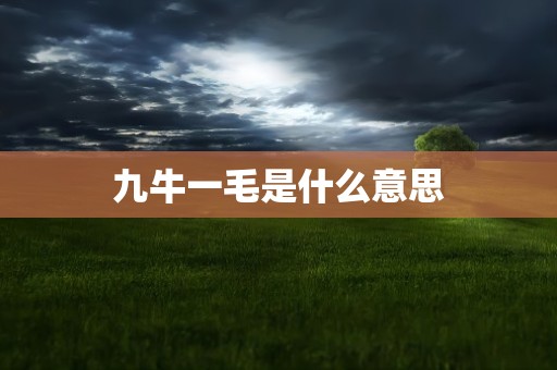 九牛一毛是什么意思