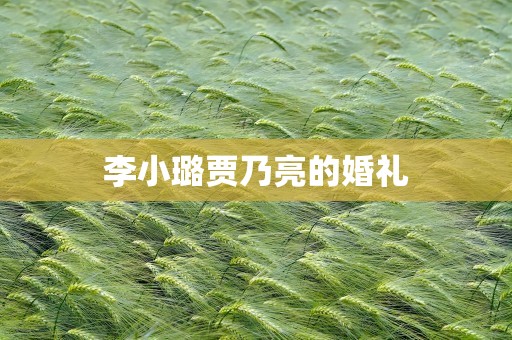 李小璐贾乃亮的婚礼