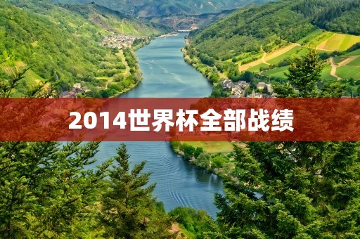 2014世界杯全部战绩