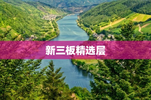新三板精选层