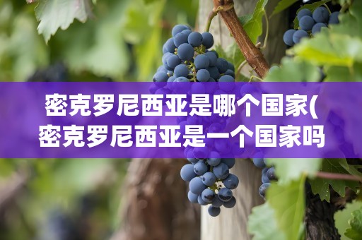 密克罗尼西亚是哪个国家(密克罗尼西亚是一个国家吗)