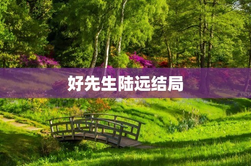 好先生陆远结局