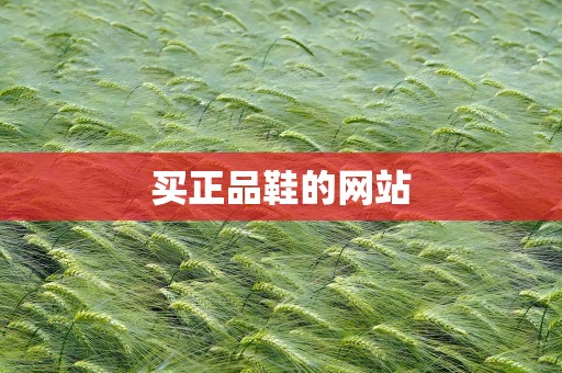 买正品鞋的网站
