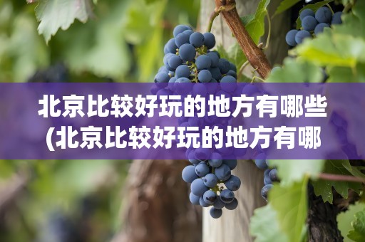 北京比较好玩的地方有哪些(北京比较好玩的地方有哪些景点)