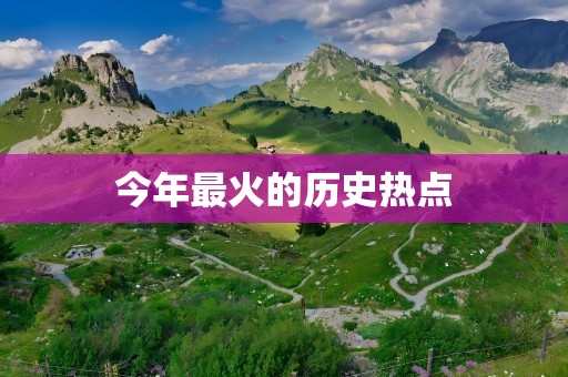今年最火的历史热点