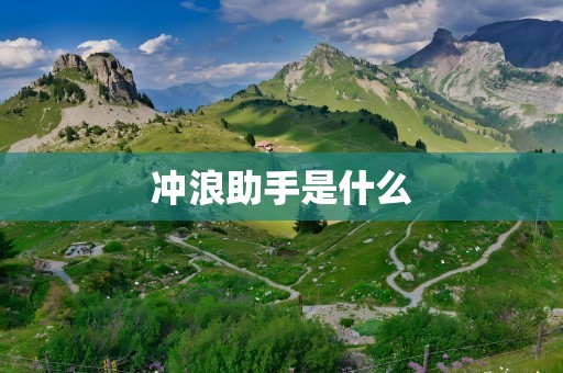 冲浪助手是什么