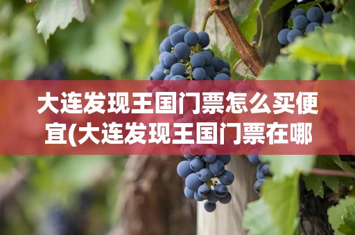大连发现王国门票怎么买便宜(大连发现王国门票在哪买便宜)