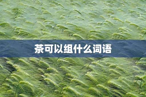 茶可以组什么词语