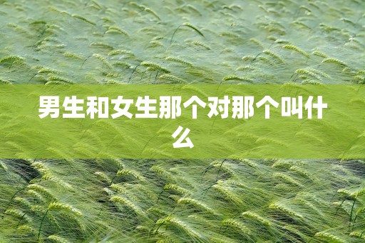 男生和女生那个对那个叫什么