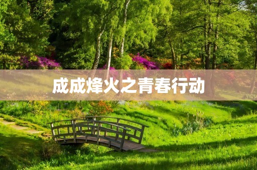 成成烽火之青春行动