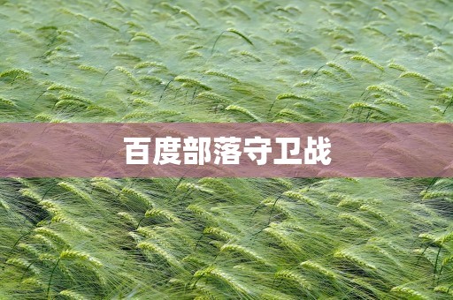 百度部落守卫战