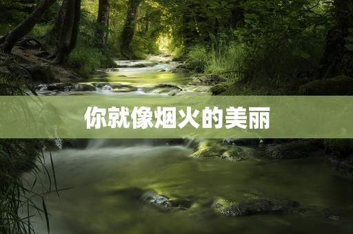 你就像烟火的美丽