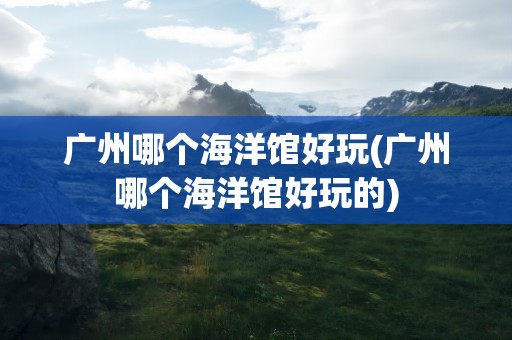 广州哪个海洋馆好玩(广州哪个海洋馆好玩的)