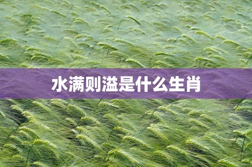水满则溢是什么生肖