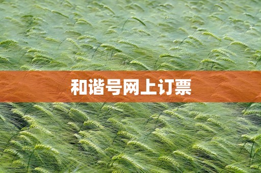 和谐号网上订票